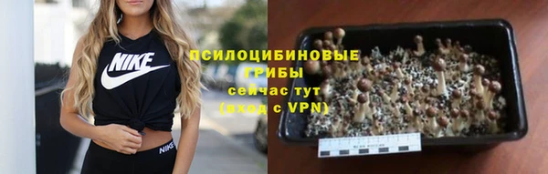 дурь Абаза