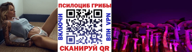 Галлюциногенные грибы мицелий  закладки  Райчихинск 